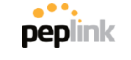 Peplink